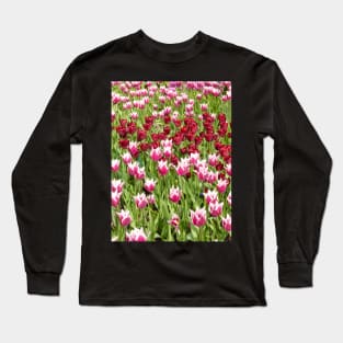 Pink & Maroon Tulips, Keukenhof Tulip Festival, Holland Long Sleeve T-Shirt